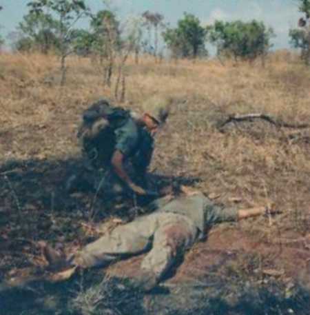 Vietnam Dead