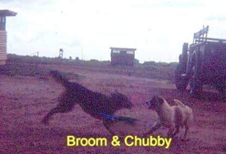DonW 4 Broom and Chubby.jpg (32346 bytes)